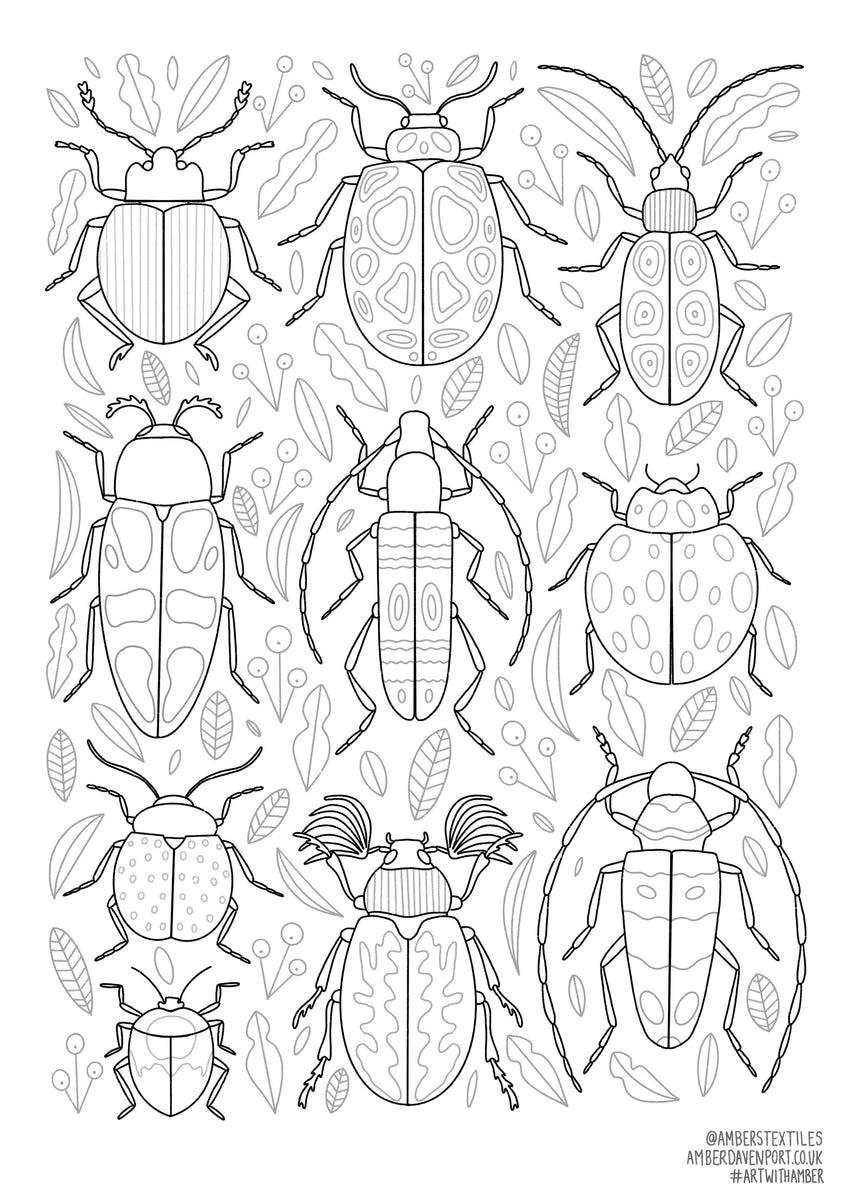 Beetles Colouring Sheet – Amber Davenport