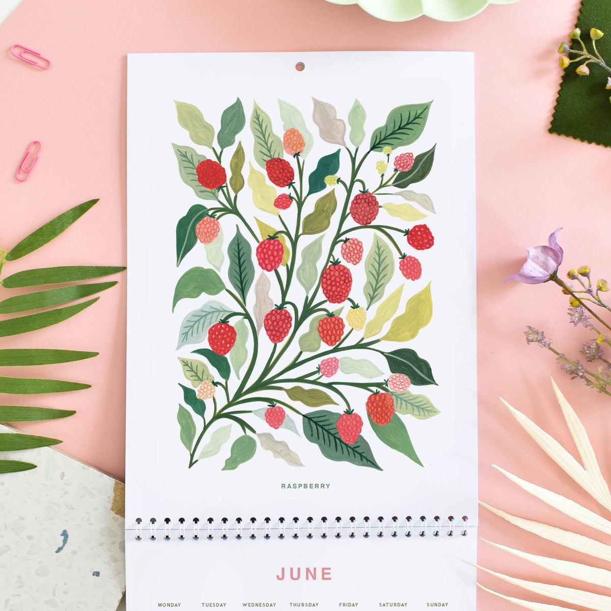 2024 Fruit & Flora Wall Calendar – Amber Davenport