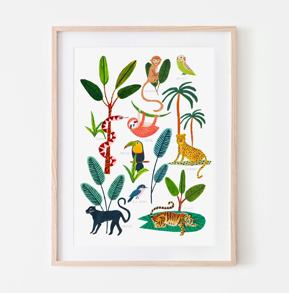 Animals of the Rainforest - Amber Davenport