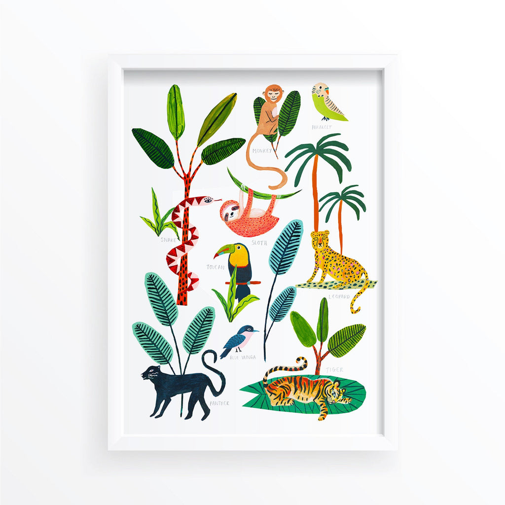 Animals of the Rainforest - Amber Davenport