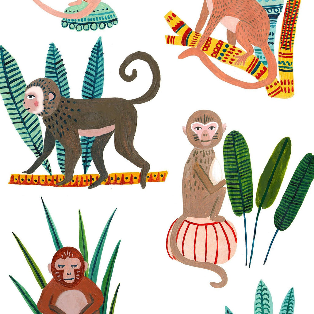 Monkeys of Malaysia - Amber Davenport