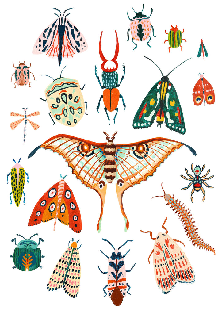 Bugs Collection - Amber Davenport