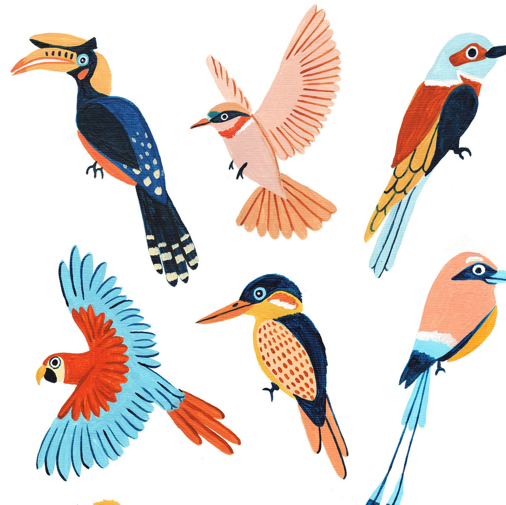 Birds of the Amazon - Amber Davenport