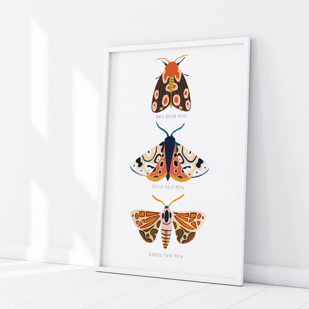 Autumn Moth Collection - Amber Davenport