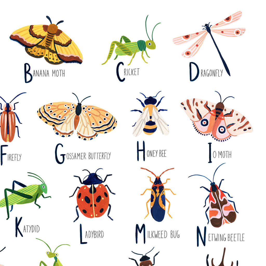 Insect Alphabet - Amber Davenport