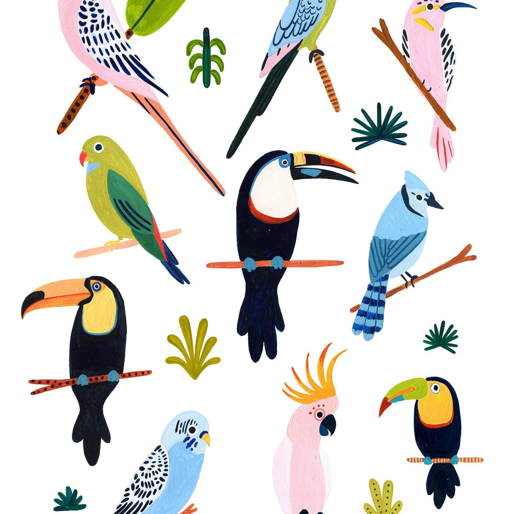 Birds of the Rainforest - Amber Davenport