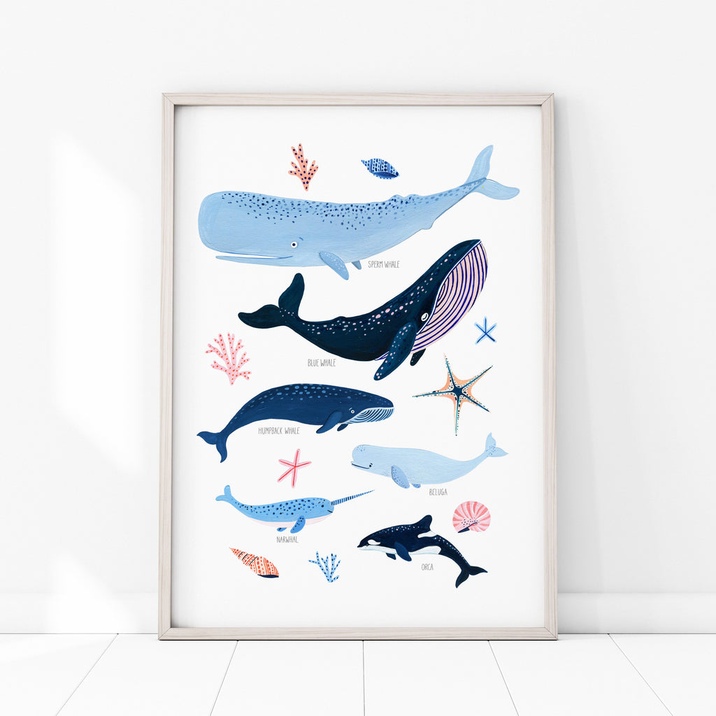 Whale Species - Amber Davenport